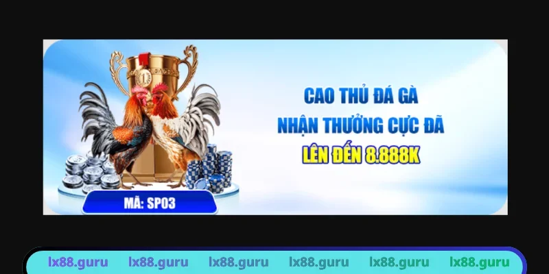 Trở thành cao thủ ở sảnh đá gà nhận ưu đãi